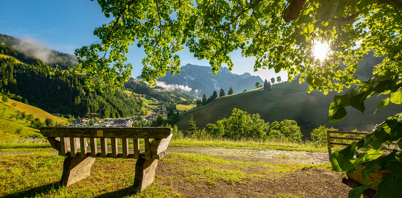 Surrounding Area Dienten Maria Alm Hochkönig